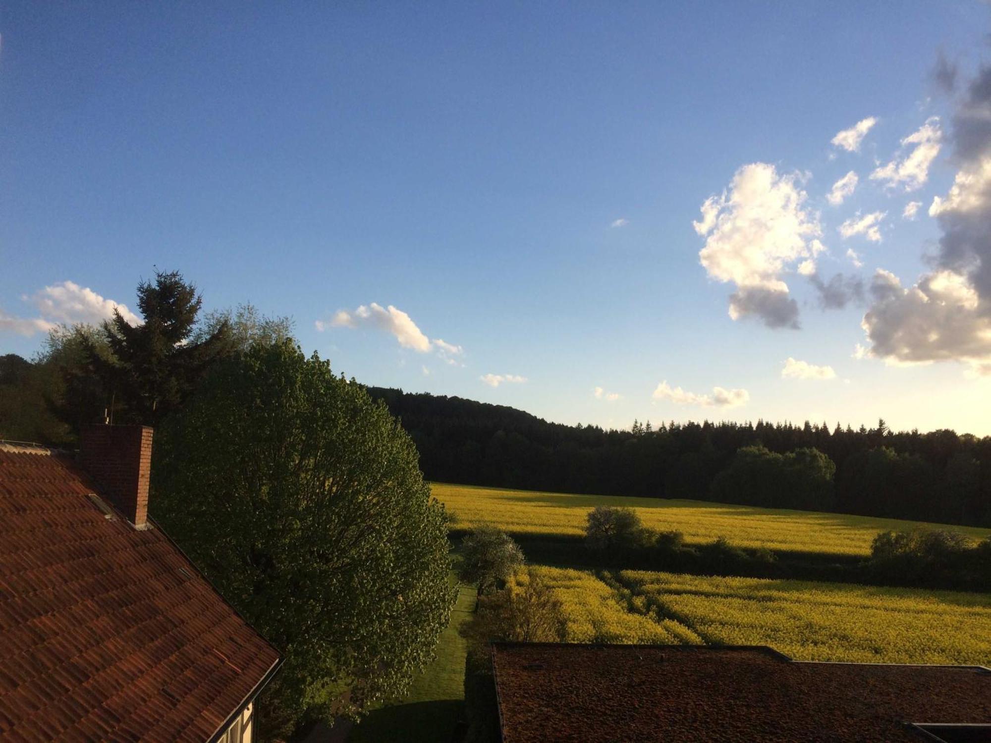 Driehof - Landgut & Residenz Hofapartment - Apt 10 泰克伦堡 外观 照片